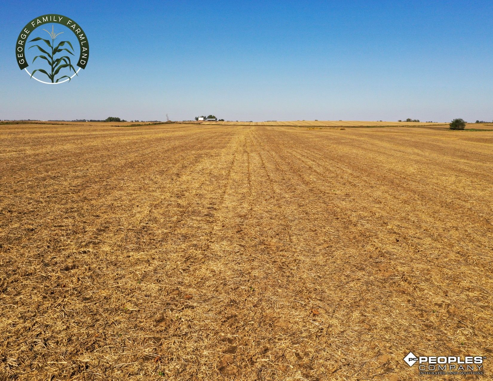 Listing Photo: Boone-County-Iowa-Farmland-Available-Near-Madrid-Iowa-18417 (7)